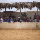 بطولة فلسطين الدولية الثالثة لجمال الخيل العربية الاصيلة في اريحا