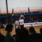 بطولة فلسطين الدولية الثالثة لجمال الخيل العربية الاصيلة في اريحا