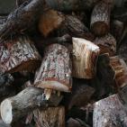 الاستعداد للشتاء