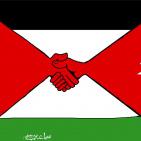 محمد سباعنه