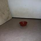 بالصور.. كرفانات الايواء بغزة في مهب الريح