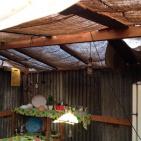 بالصور.. عائلة الترابين