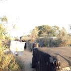 بالصور.. عائلة الترابين