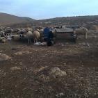 في موقع الحديدية في الاغوار الشمالية قوات الاحتلال  تستهدف مضارب ابو صقر واولاده