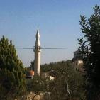 عرابة تتجه نحو اقامة متحف وطني في قصورها الاثرية