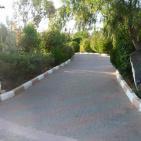 عرابة تتجه نحو اقامة متحف وطني في قصورها الاثرية