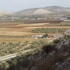 عرابة تتجه نحو اقامة متحف وطني في قصورها الاثرية