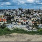 عرابة تتجه نحو اقامة متحف وطني في قصورها الاثرية