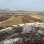 عرابة تتجه نحو اقامة متحف وطني في قصورها الاثرية