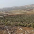 عرابة تتجه نحو اقامة متحف وطني في قصورها الاثرية