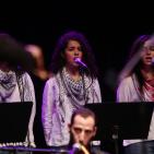 عرض فني غنائي 