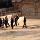 مستوطنون يقتحمون الأقصى ويتلقون دروسا في باحاته