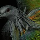 صور الطبيعة في العالم