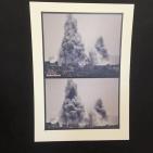 إفتتاح معرض 