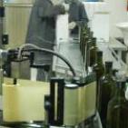 عام 2016... البحث عن اسواق دولية لتصدير المنتجات الفلسطينية