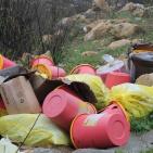 صور: بلدية البيرة تتعامل مع مخلفات طبية ألقاها مجهول على جانب الطريق