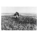 خليل رعد 1957 -1854 عميد المصوريين الفوتوغرافيين الفلسطينيين