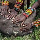 اجمل صور الطبيعة والحيوان في العالم