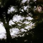 اجمل صور الطبيعة والحيوان في العالم