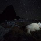 اجمل صور الطبيعة والحيوان في العالم