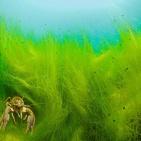 اجمل صور الطبيعة والحيوان في العالم