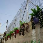 إطلاق مبادرة 