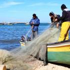 جولة في ميناء غزة البحري