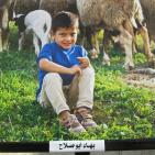 قصور عرابة تستضيف معرضي صور مسرح الحرية 