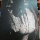 قصور عرابة تستضيف معرضي صور مسرح الحرية