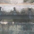 عين كارم ­­­­­­­­ شاهده على تاريخ الفلسطينين في القدس