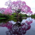 مجموعة صور طبيعية مذهلة من مختلف أنحاء العالم