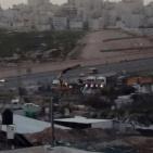 هدم منشآت زراعية وصناعية في العيسوية