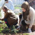النجاح التطوعية تُنظم نشاط لزراعة الأشجار بالتعاون مع بلدية نابلس