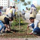 النجاح التطوعية تُنظم نشاط لزراعة الأشجار بالتعاون مع بلدية نابلس