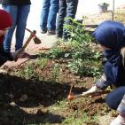 النجاح التطوعية تُنظم نشاط لزراعة الأشجار بالتعاون مع بلدية نابلس