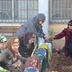 مجموعة كزدورة وصورة من دير جرير مثال للعمل التطوعي