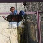 أطفال الخليل العتيقة يواجهون الاحتلال باللعب والحياة