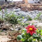 اطفال الشجاعية يزرعون الورود بين بيوتهم المُدمرة