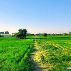 خزاعة لم تغادر الحرب وأطفالها بحاجة لملعب