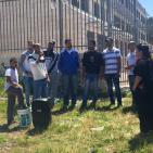 صور: 47 شتلة زيتون بأسماء شهداء القدس