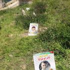 صور: 47 شتلة زيتون بأسماء شهداء القدس