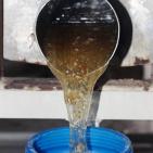 صور: رايــة تشارك المزارعين في جني العسل بقطاع غزة