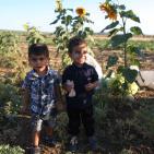 افتتاح مهرجان الفقوس في بلدة دير بلوط