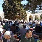 صور: أكثر من 280 ألفاً أدوا الجمعة الأخيرة برحاب الأقصى