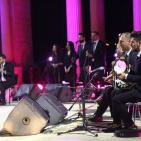 حفل الفنان محمد عساف في مدينة روابي