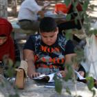 سلسلة القراءة لمجموعة نبض القدس التطوعية في منتزه جمال عبد الناصر بنابلس