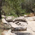 عــمـــواس