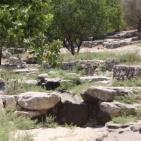 عــمـــواس