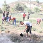 فعاليات اليوم الثاني من مهرجان فرخة الدولي للشباب