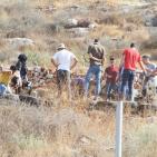 فعاليات اليوم الثاني من مهرجان فرخة الدولي للشباب